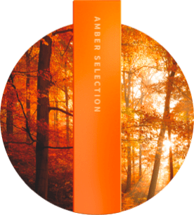 Buy Heets IQOS In Dubai, UAE | Heets IQOS Dubai